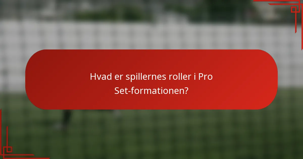 Hvad er spillernes roller i Pro Set-formationen?